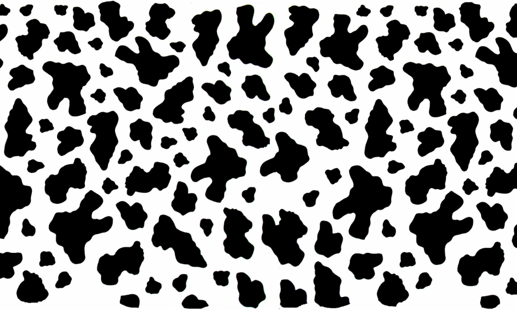 Cropped Bg Scaled 1 1024x613
